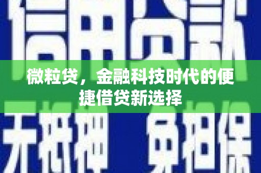 普兰微粒贷，金融科技时代的便捷借贷新选择