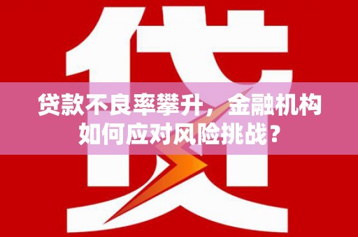 普兰贷款不良率攀升，金融机构如何应对风险挑战？