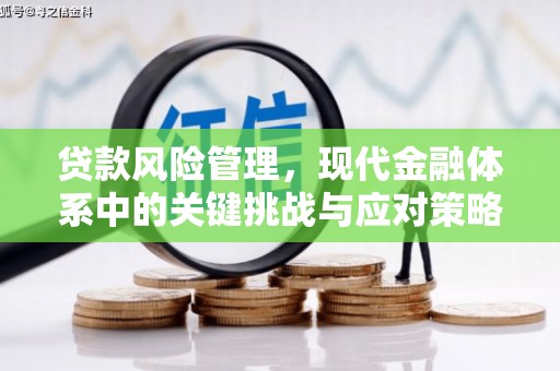 普兰贷款风险管理，现代金融体系中的关键挑战与应对策略