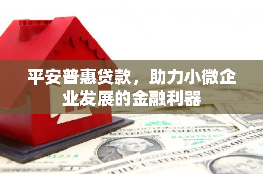 普兰平安普惠贷款，助力小微企业发展的金融利器