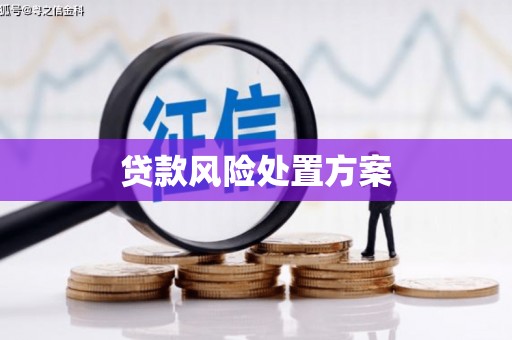 普兰贷款风险处置方案