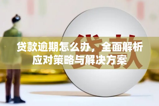 普兰贷款逾期怎么办，全面解析应对策略与解决方案