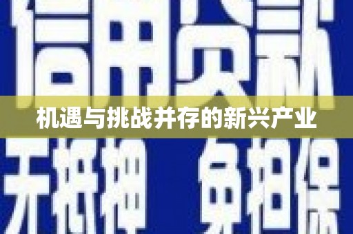 普兰机遇与挑战并存的新兴产业