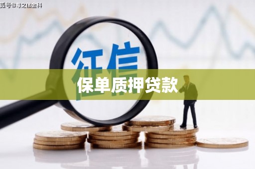 普兰保单质押贷款