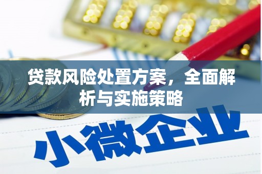 普兰贷款风险处置方案，全面解析与实施策略