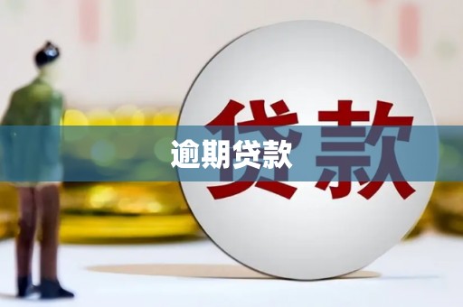 普兰逾期贷款